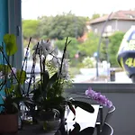 Hotel Vienna *